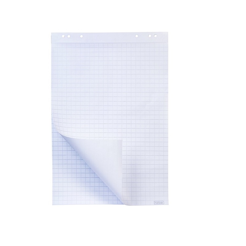 Блокнот для флип-чарта 64*96 Hatber, бел. 20л, клетка