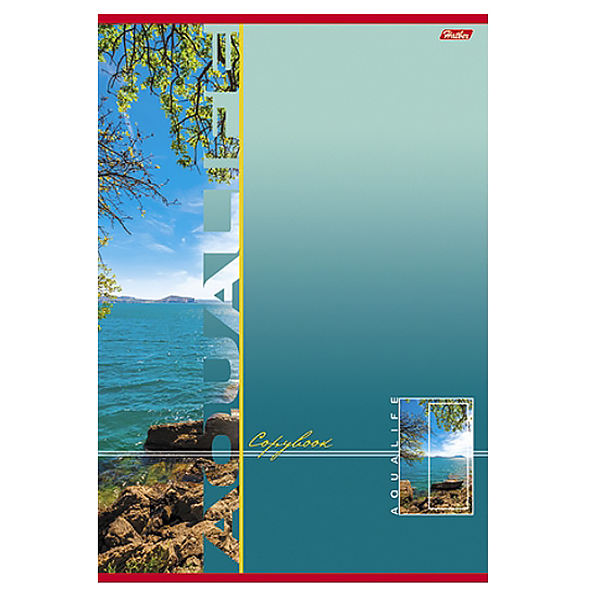 Тетрадь  А4  80л. кл. скоба "Хатбер"Аквалайф", лак, 3 диз.