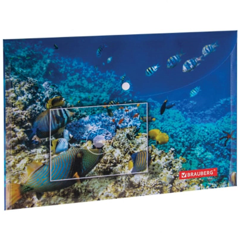 Папка на кнопке А4 Brauberg Sea World, 160мкм, до 100лист.